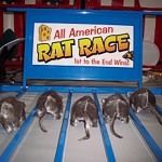 The Great American Rat Race